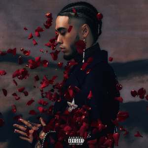 圣采儿的拉尿部位
